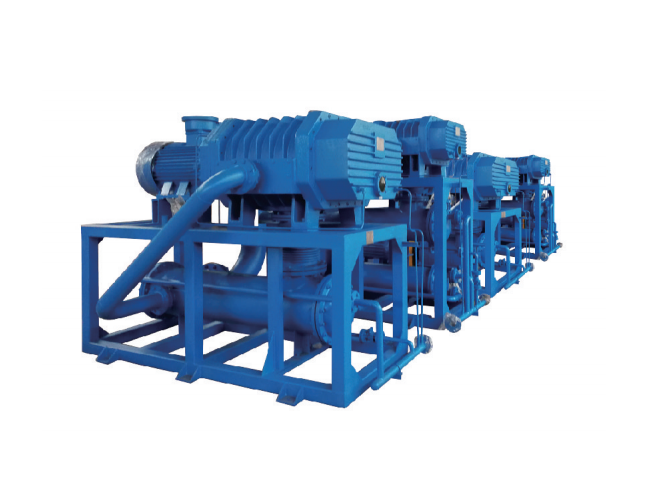 JZJQ · Gas-cooled Roots / liquid-ring system