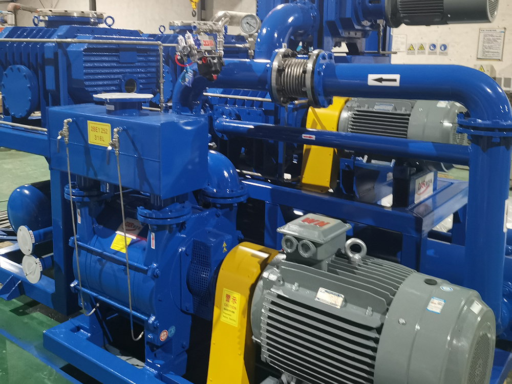 2BW1 · Liquid-ring vacuum & compression system