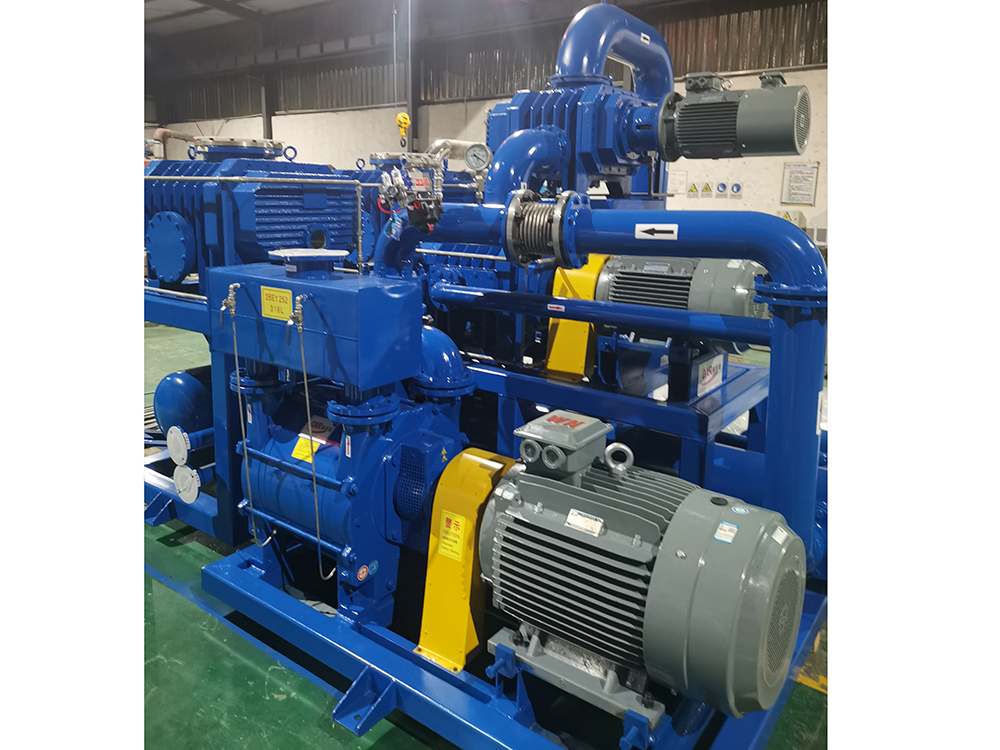 2BE1 252 · Liquid-ring & Roots vacuum system